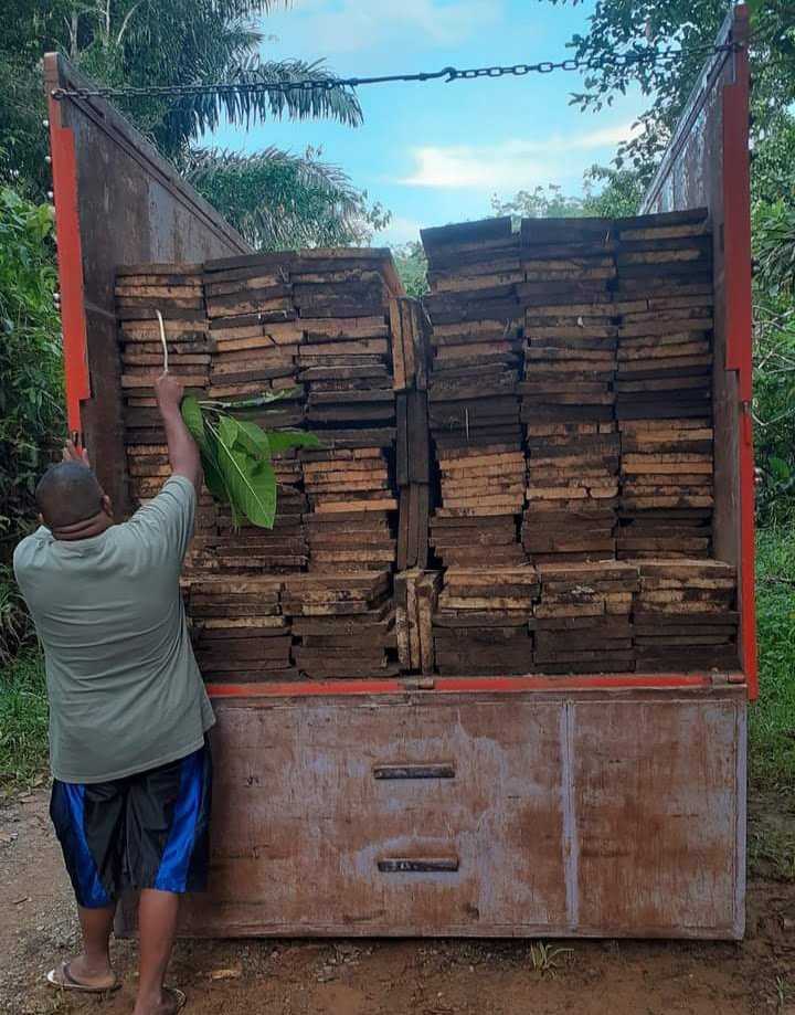 (Photo: Mobil Truck Pengangkut Kayu Milik Rafik)