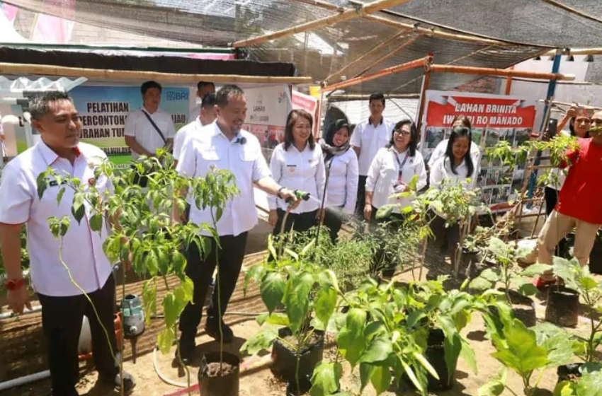 Antisipasi Dampak El Nino, Wawali Dorong Peningkatan Pemeliharaan Tanaman di Kintal AARS