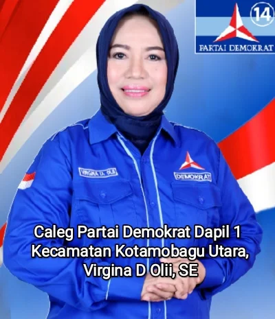 Virgina Olii: Transformasi Dari Birokrat Unggul Hingga Calon Legislator Partai Demokrat