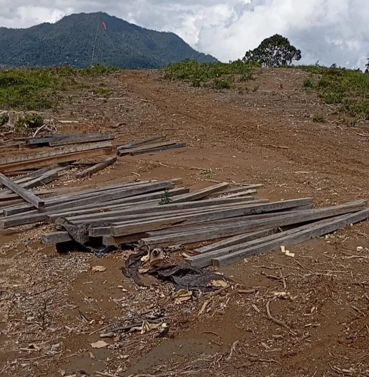 Masyarakat Minta APH Tindak Tegas Pelaku Pembalakan Liar Di Perkebunan Tukeng Banga