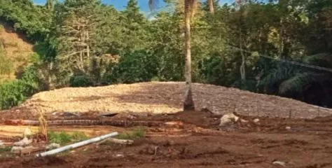 Terus Beroperasi PETI di Perkebunan Nuntap Hiraukan Teguran Keras Dari Aparat Penegak Hukum