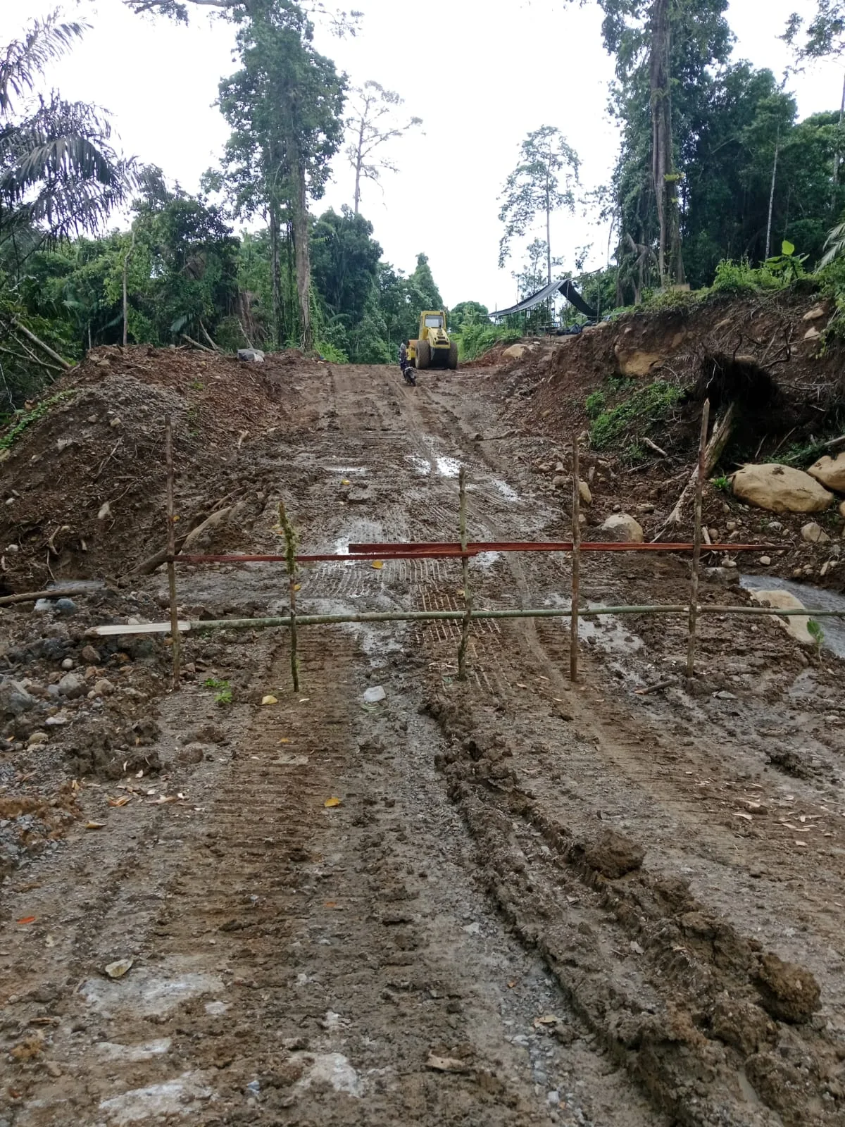 Diduga Pemilik Dragon Swalayan Ko Fanny Terlibat Aktivitas PETI di Hutan lindung Simbalang
